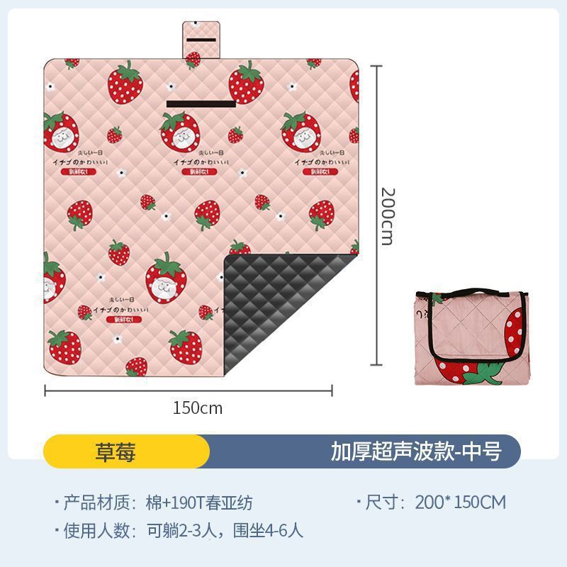 Strawberry medium 150*200CM